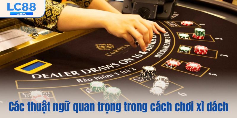 Các thuật ngữ quan trọng trong cách chơi xì dách